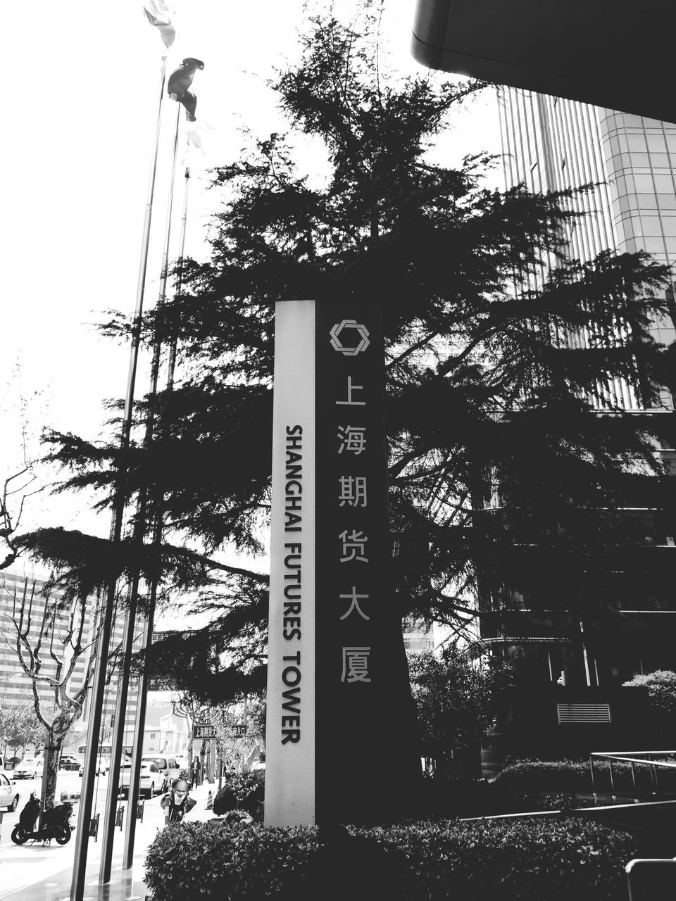 text, communication, western script, tree, information sign, low angle view, sign, road sign, guidance, information, built structure, capital letter, directional sign, building exterior, non-western script, pole, architecture, street light, warning sign, branch