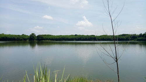 Scenic view of lake against sky