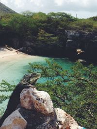 Rocks in sea