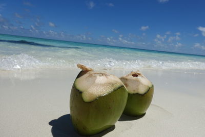 Close-up of fruit on beach against sky