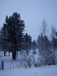 Trees on snow covered field against sky