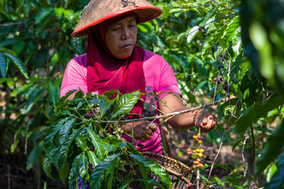 Woman wearing hat holding plant