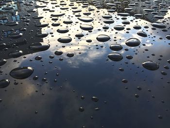 Close-up of water drops on car hood