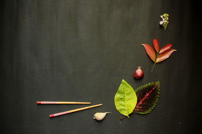 Directly above shot of red leaves on table against black background