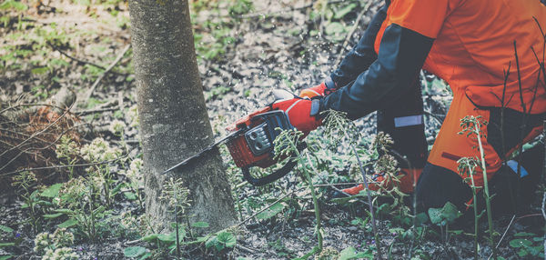 Man holding chainsaw and cut tree. lumberjack at work wears protective equipment. gardener working 