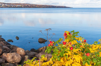 Scenic view of lake against cloudy sky