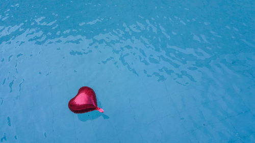 High angle view of red floating on water