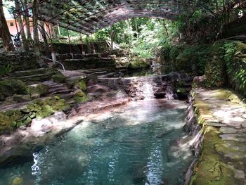 Scenic view of waterfall in forest