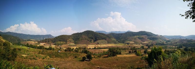 Panoramic view of agricultural field against sky