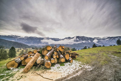 Stack of logs on field against sky