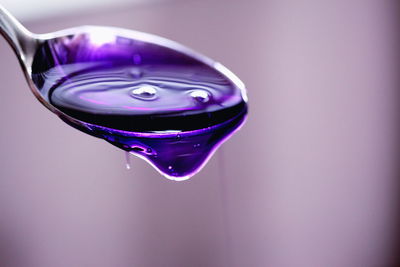 Close-up of flower over black background