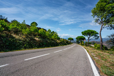 Road amidst trees against sky