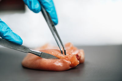 Food safety and quality testing of poultry meat. laboratory technician taking a sample 