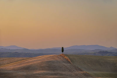 Rear view of man walking on mountain