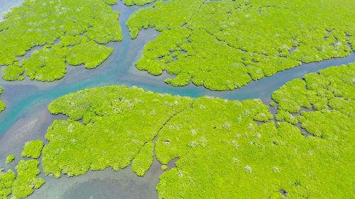 High angle view of leaf floating on lake