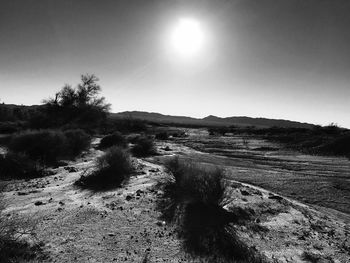 Scenic view of landscape against clear sky