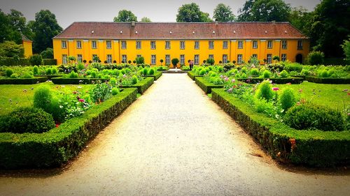 Footpath amidst plants