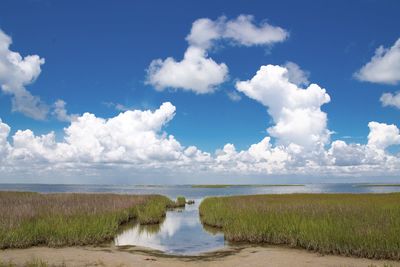 Scenic view of sea against sky