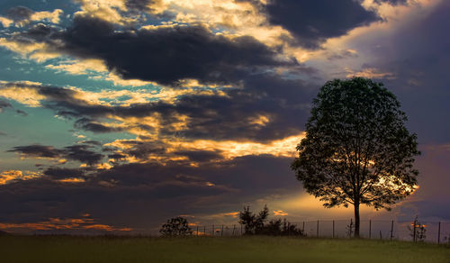 Silhouette tree against sky during sunset