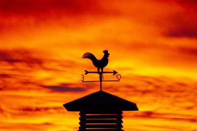 weather vane