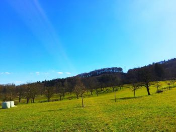 Scenic view of field against clear blue sky