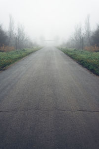 Country road passing through forest