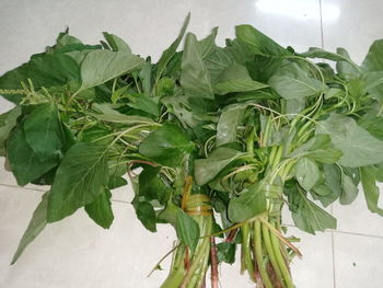 High angle view of fresh green leaves on table