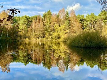 Reflection of trees in lake against sky