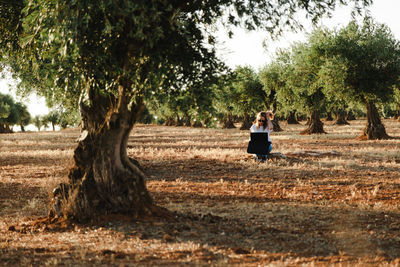 Woman using laptop while sitting at olive orchard