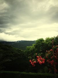 Scenic view of field against cloudy sky