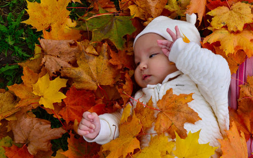 Cute boy lying on leaves during autumn