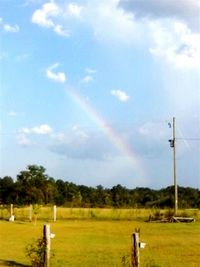 Scenic view of grassy field against sky