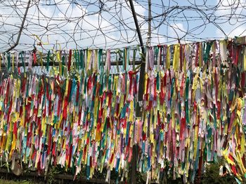 Multi colored umbrellas hanging on fence