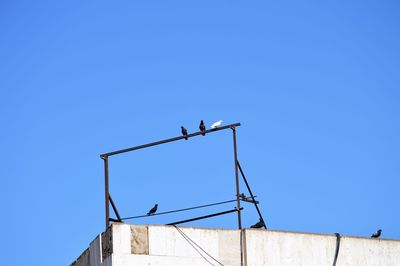 Low angle view of crane against clear blue sky