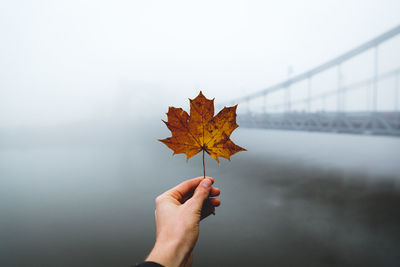 Close-up of hand holding maple leaf during autumn