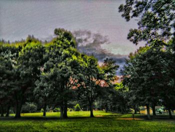 Scenic view of grassy field against sky