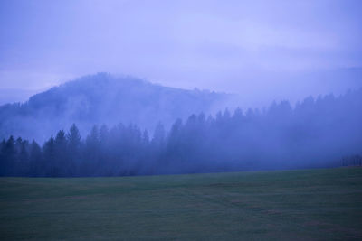 Scenic view of trees on field against sky