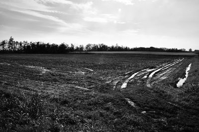 Scenic view of agricultural field against sky