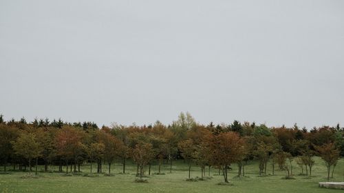 Trees on field against sky