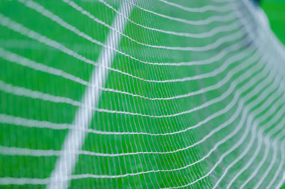 Full frame shot of spider web