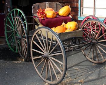 View of pumpkins in market
