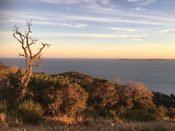 Scenic view of sea against sky at sunset