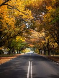 Road amidst trees during autumn