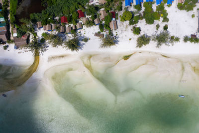 High angle view of trees by building