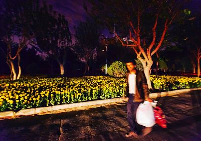 View of flowers in the dark