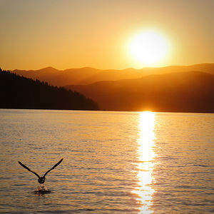 Scenic view of lake against sky during sunset