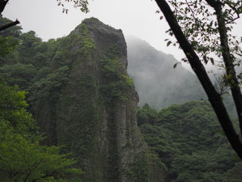 Low angle view of trees and mountains against sky