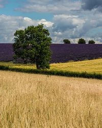 Scenic view of field against cloudy sky