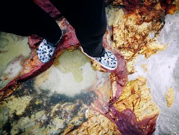 Low section of person standing on rock