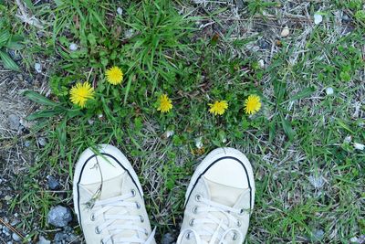 Low section of woman walking on field